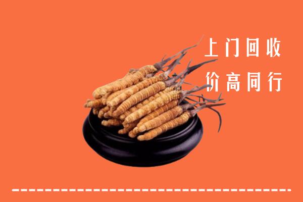 附近收购：南昌冬虫夏草回收多少钱每克